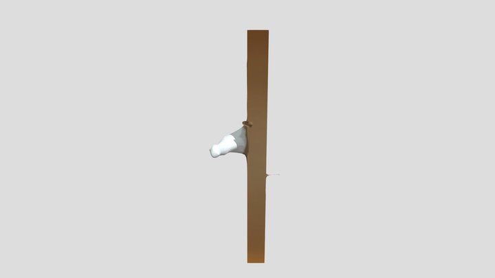 Door 3D Model
