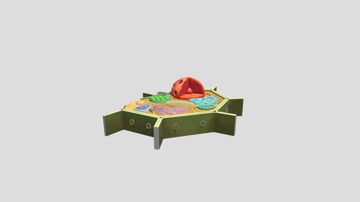 sel tumbuhan UTS 3D Model