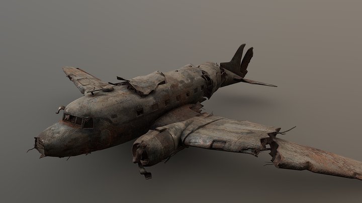 DC3 Wreckage 3D Model