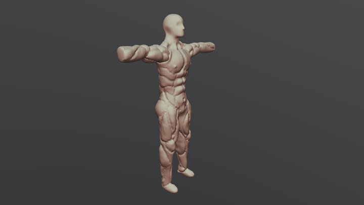 Human Model 3D Model