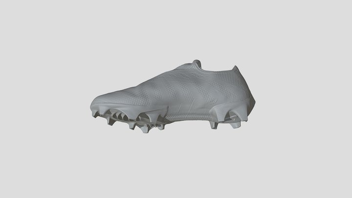 shoes 3D Model