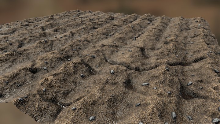 Field streaks 3D Model