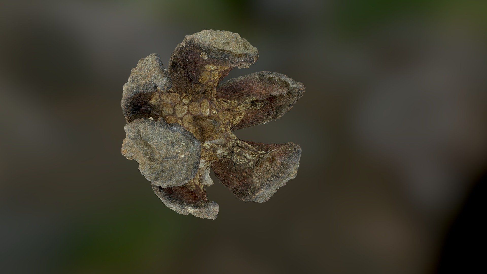 sketchfab.com