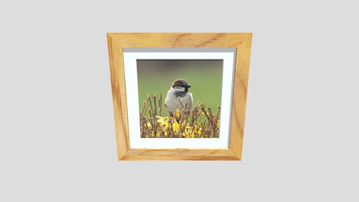 Oak Wood Picture Frame with a Sparrow 3D Model