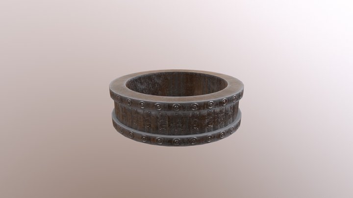 Ring Practice 3D Model