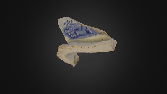Dish Fragment 3D Model