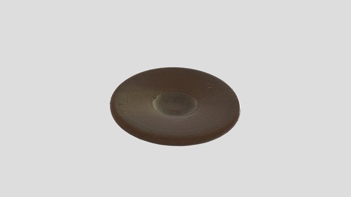 Punic_saucer_RMO_G1952/2.10B 3D Model