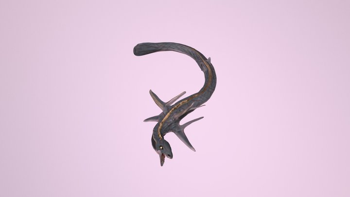 Dragon des mers 3D Model