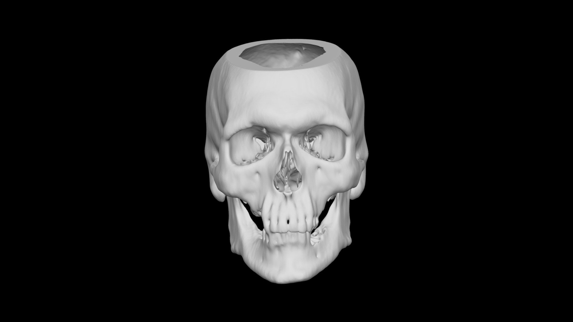 Skull Male 54yo
