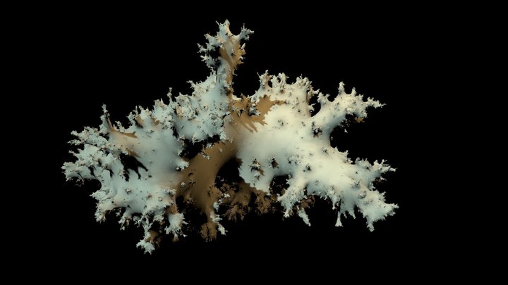 Bipolar-oriented triangulation 3 3D Model