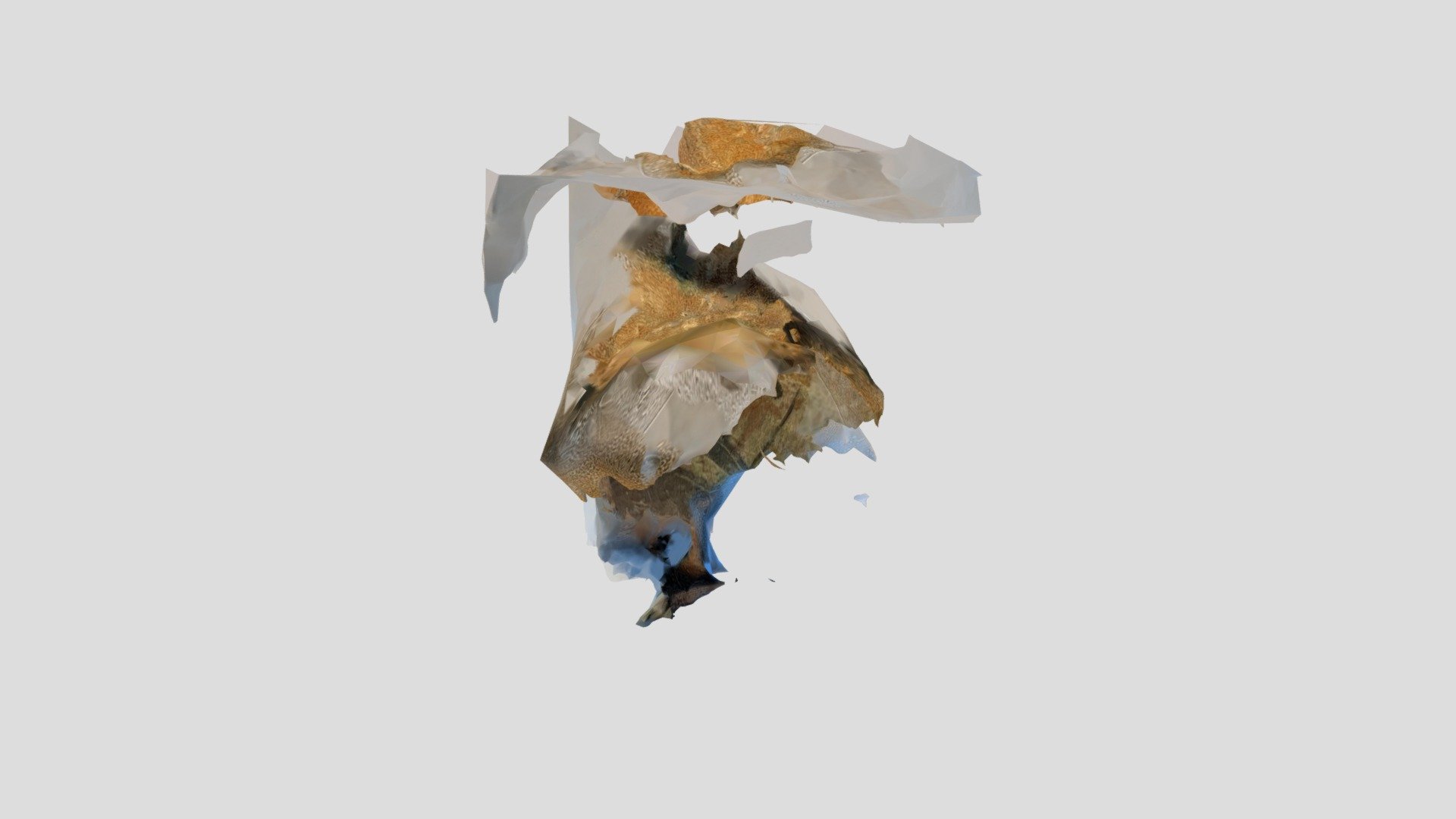 First ever photogrammetry attempt!
