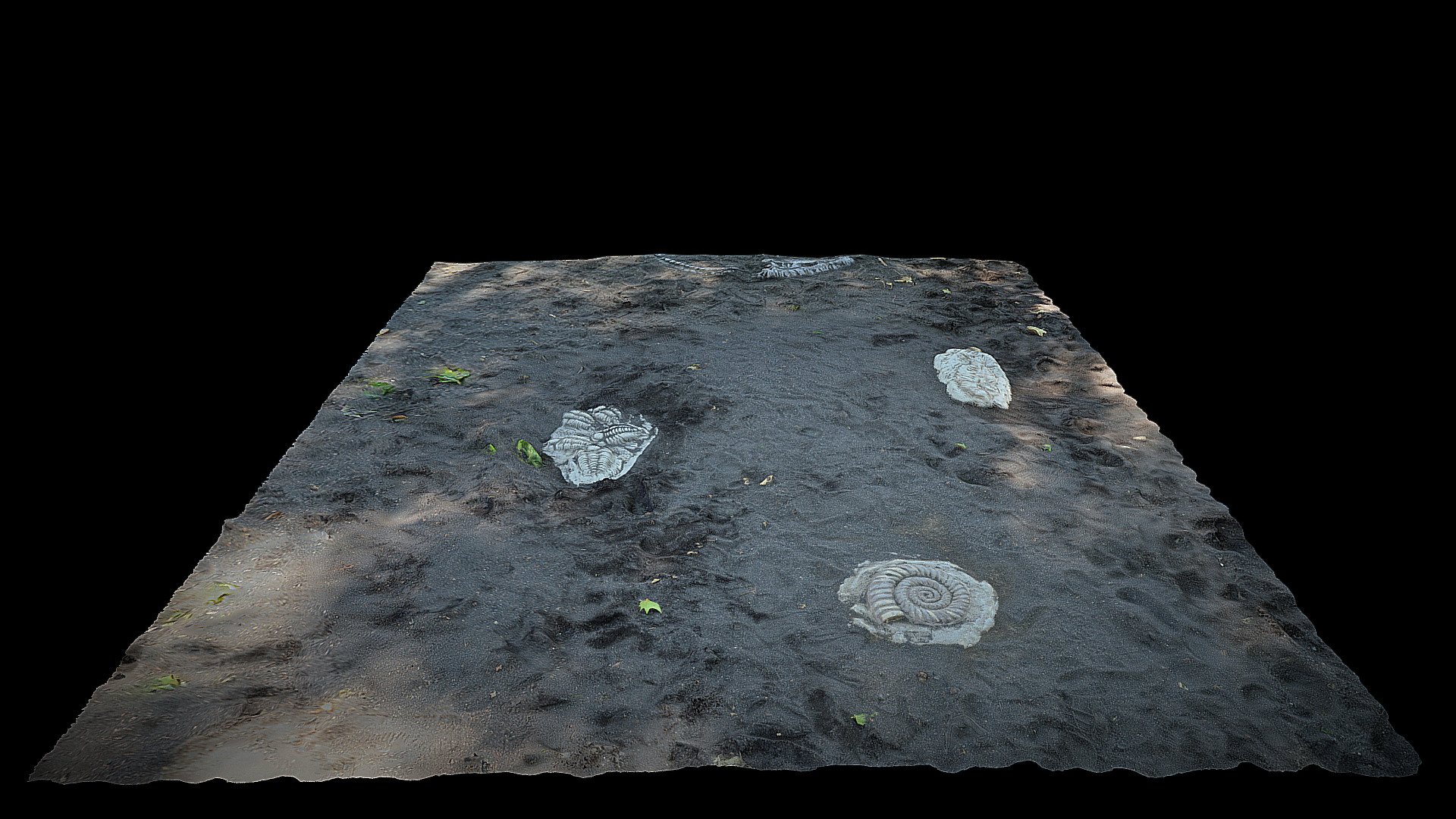 Cuadrícula del paleontólogo/Paleontologist grid