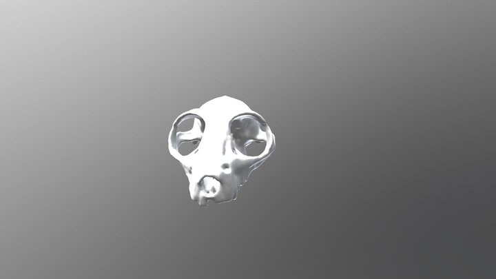 Lemur 3D Model