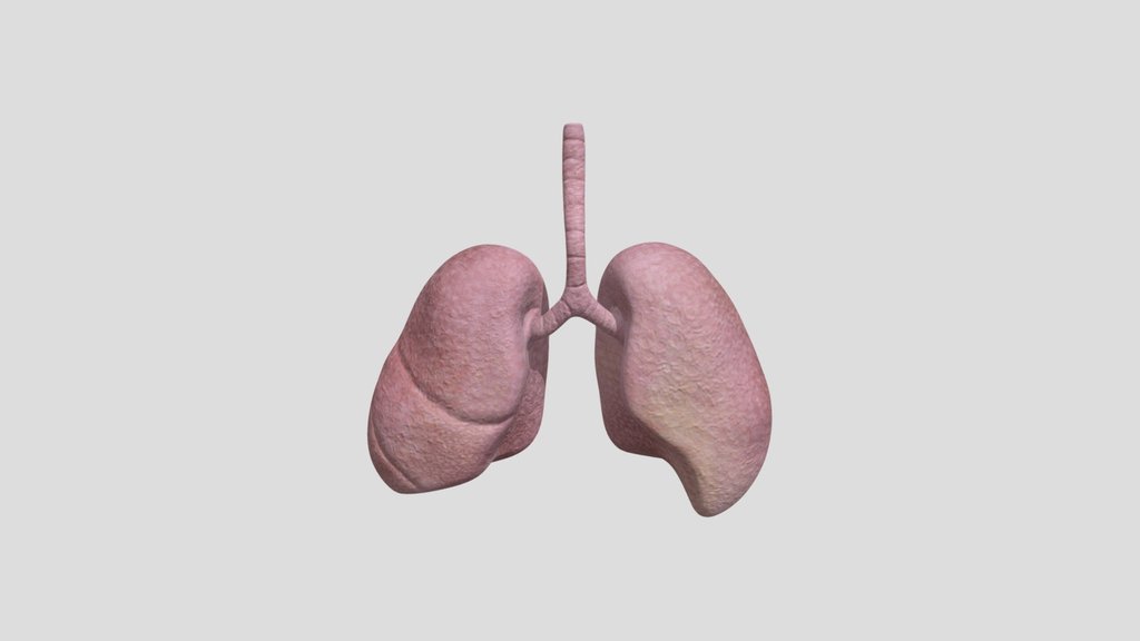 Exposed Lungs