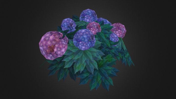 Hydrangea – Modello 3D gratuito STL