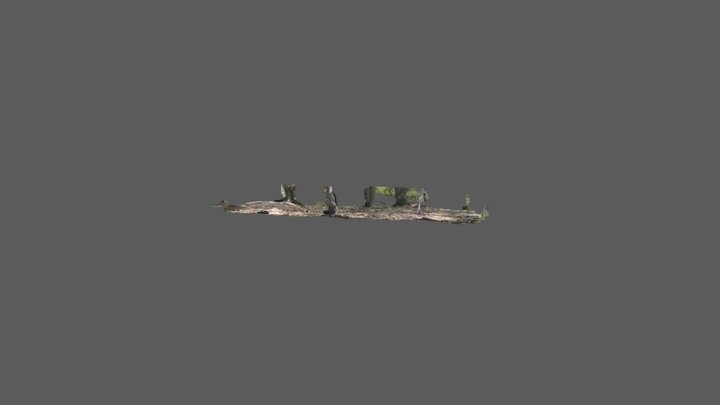 窪みで残る竪穴住居?（Metashape1.73） 3D Model