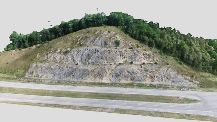 Tonoloway Limestone - Corridor H WVa 3D Model