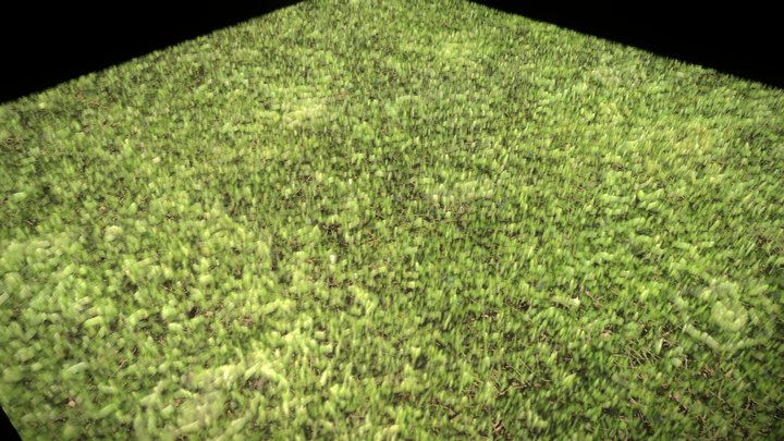 Realtime Grass Test WiP 3D Model