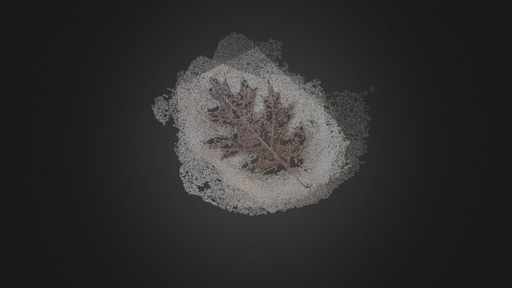 outsideleaf.0 3D Model