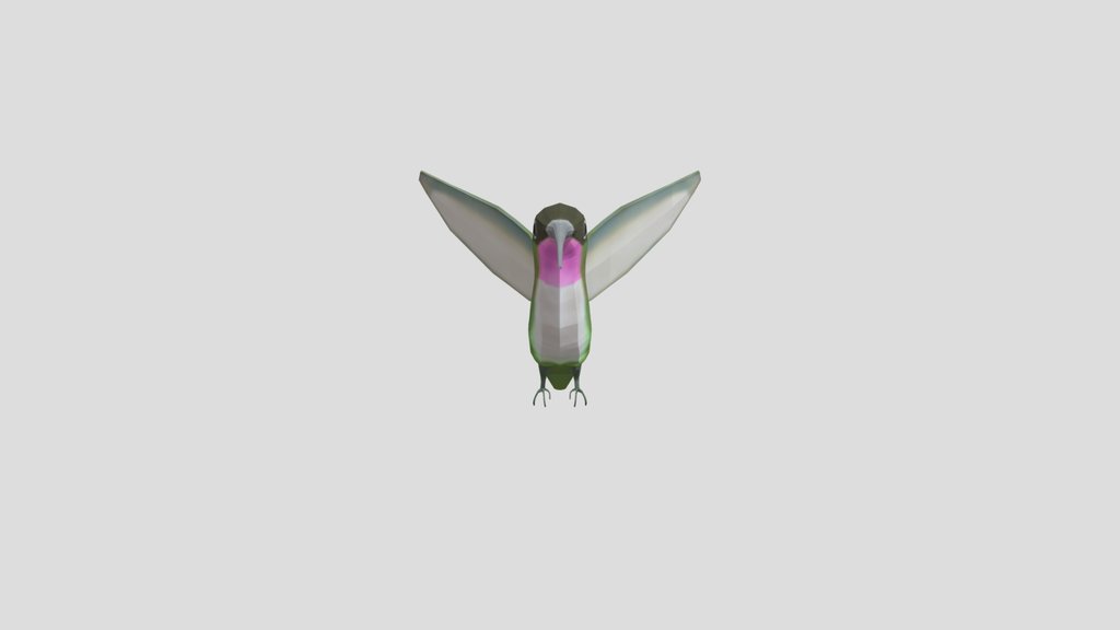 Low Poly Hummingbird