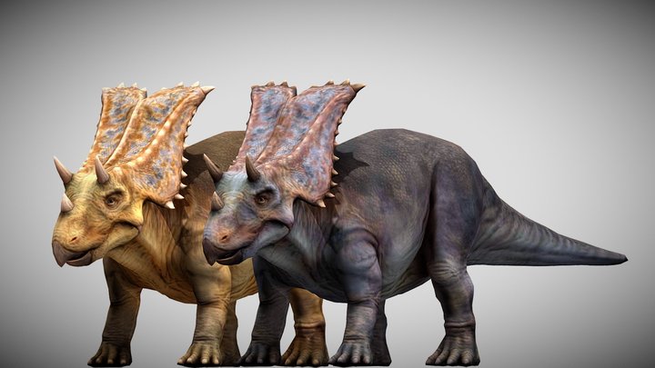 JW: PO Chasmosaurus – Modelo 3D gratuito STL