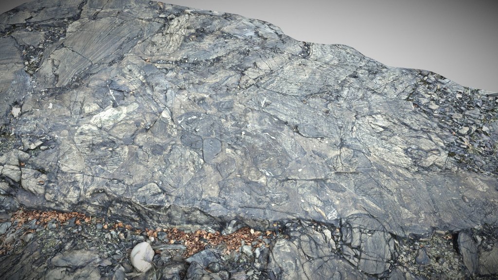 Sudbury Breccia, Robinson Lake, Sudbury, ON