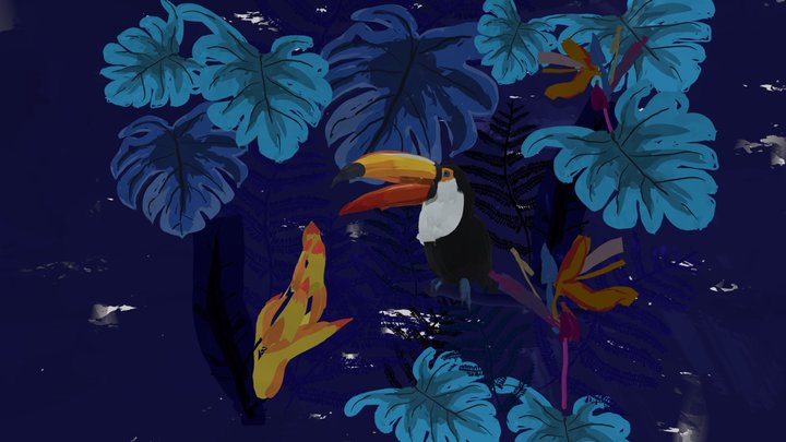the toucan 3D Model