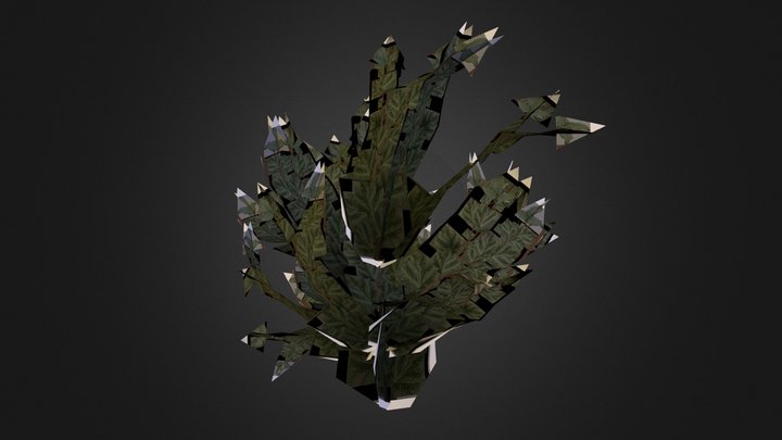 Bush 3D Model