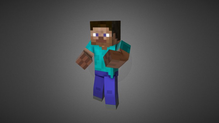 Perfect Steve Revised