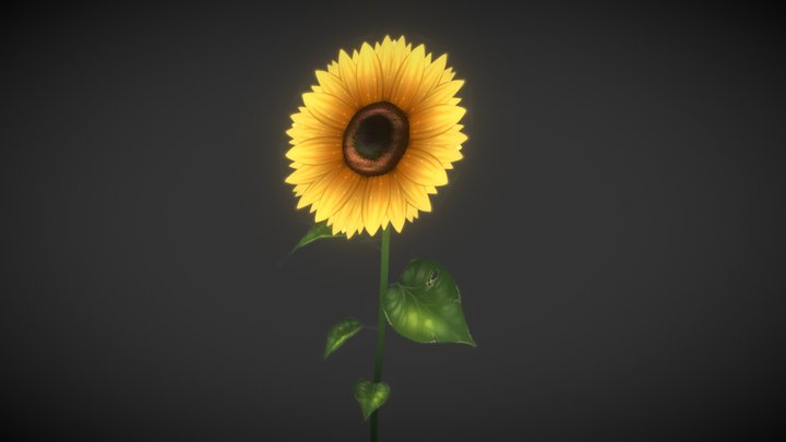 Sunflower 3D Model