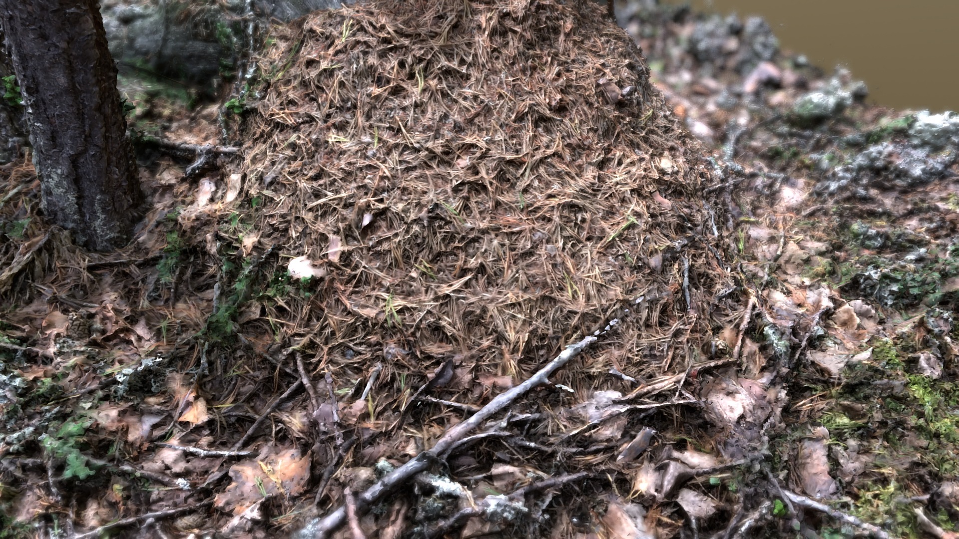 3D model Anthill - This is a 3D model of the Anthill. The 3D model is about a pile of sticks and leaves.