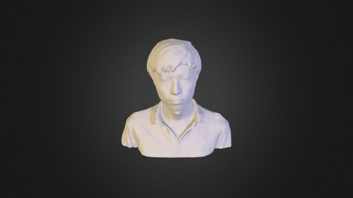 model_mesh 3D Model
