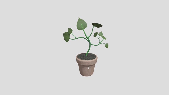 plant 3D Model