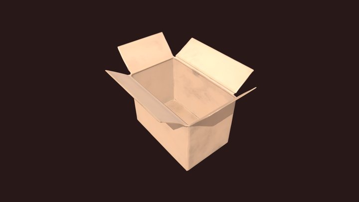 Open Cardboard Box 3D Model
