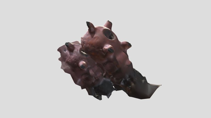 Chancho Roto 3D Model