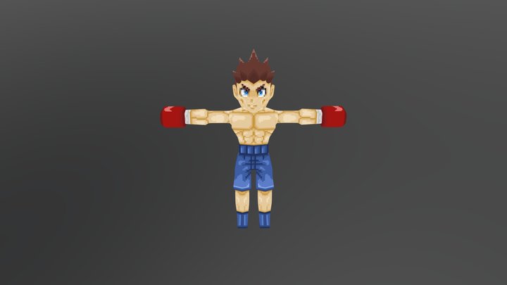 Pixel Boxer 3D Model