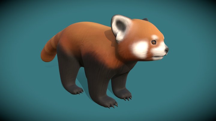 Red Panda - Scultping Practice 3D Model