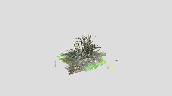 Hunters Tree 3D Model