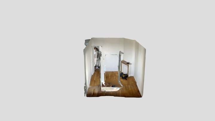 Scan3D pièce appartement parisien 3D Model
