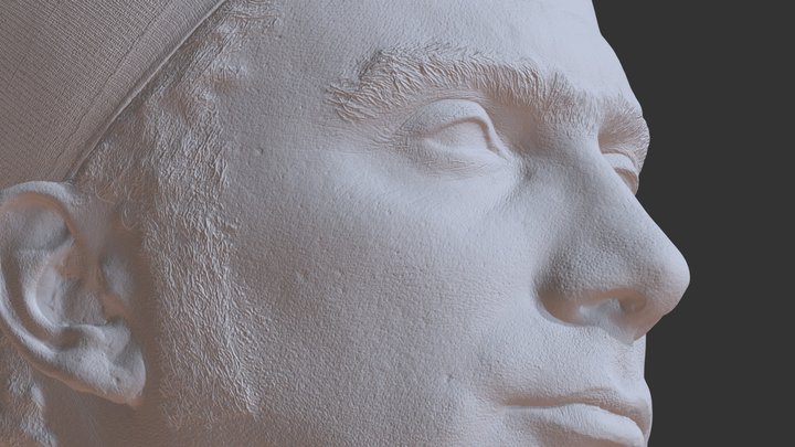 Mojitohead 3D Model