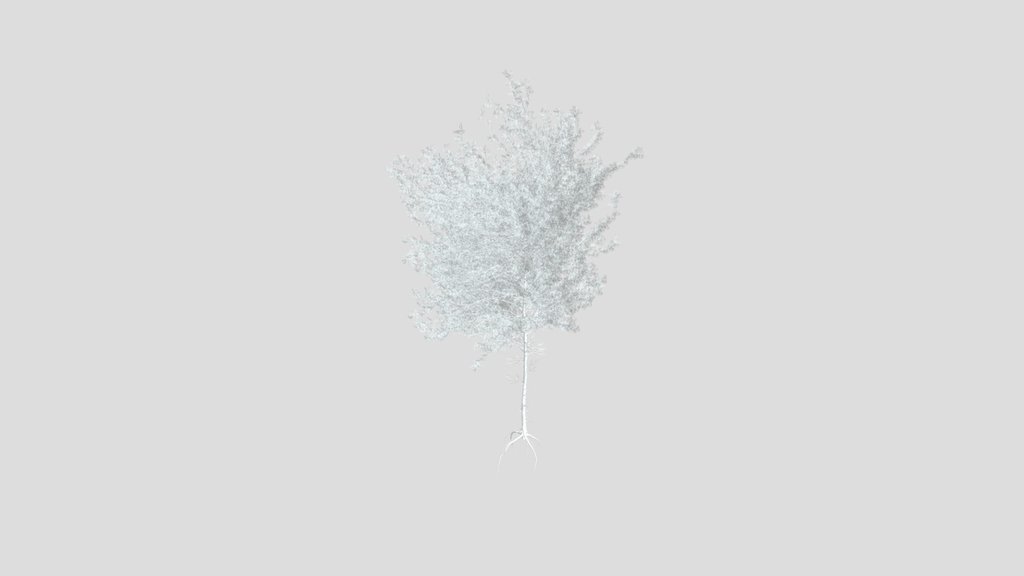 Sj Verdant Pine Embrace