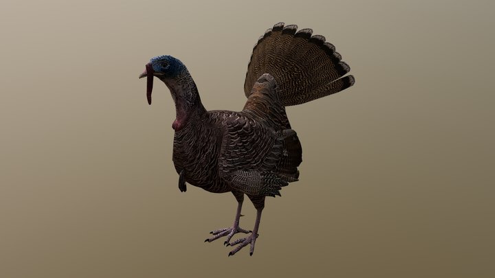 Turkey – Free 3D Model STL