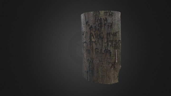 Arbre 17, Lillebonne, Normandie 3D Model