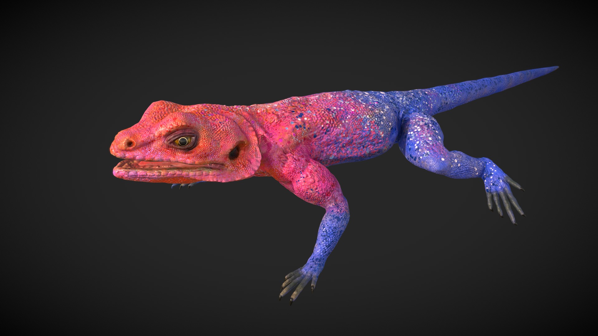3D model Low poly detailed agama mwanzae model - This is a 3D model of the Low poly detailed agama mwanzae model. The 3D model is about a red and blue fish.