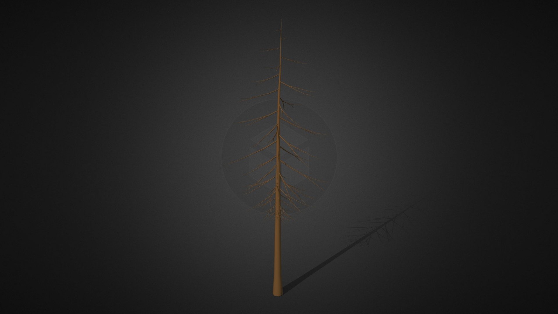 Dried pine