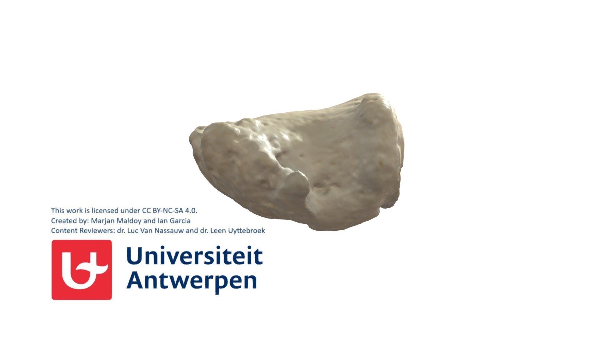 Rechter Phalanx Distalis III met annotaties - 3D model by Universiteit ...
