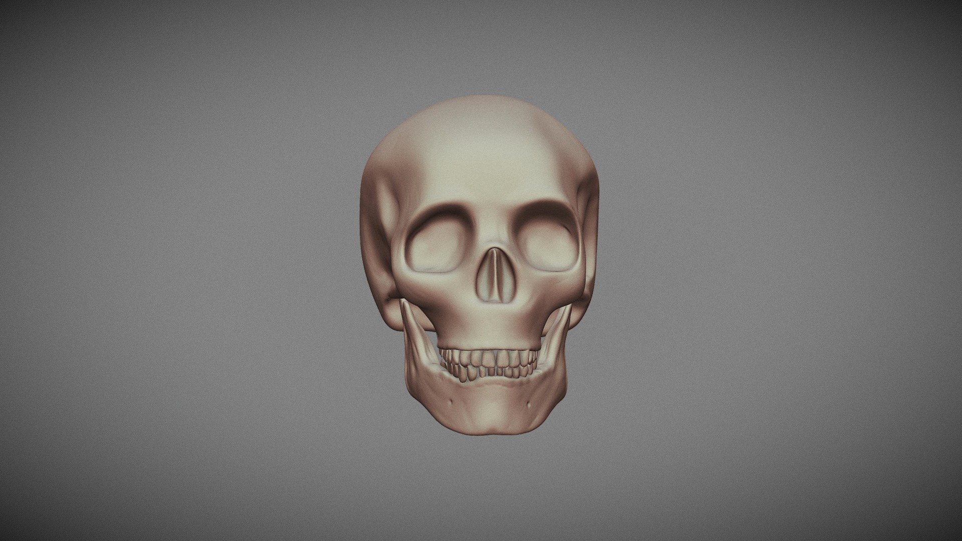 Skull - 3D model by Reidlos [d2660f5] - Sketchfab