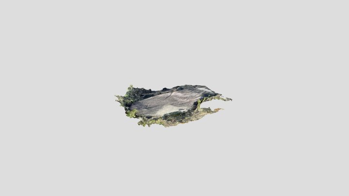 T3 3D Model