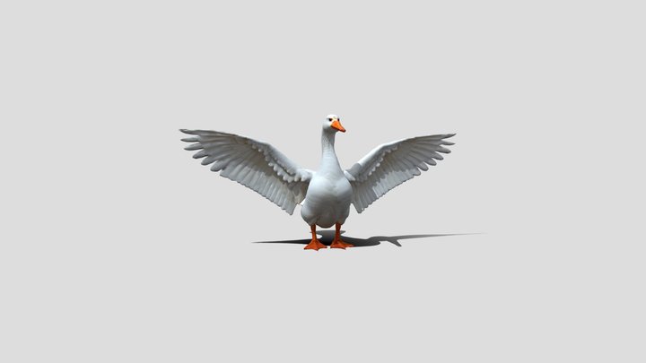 Snow goose Bird 3d model free