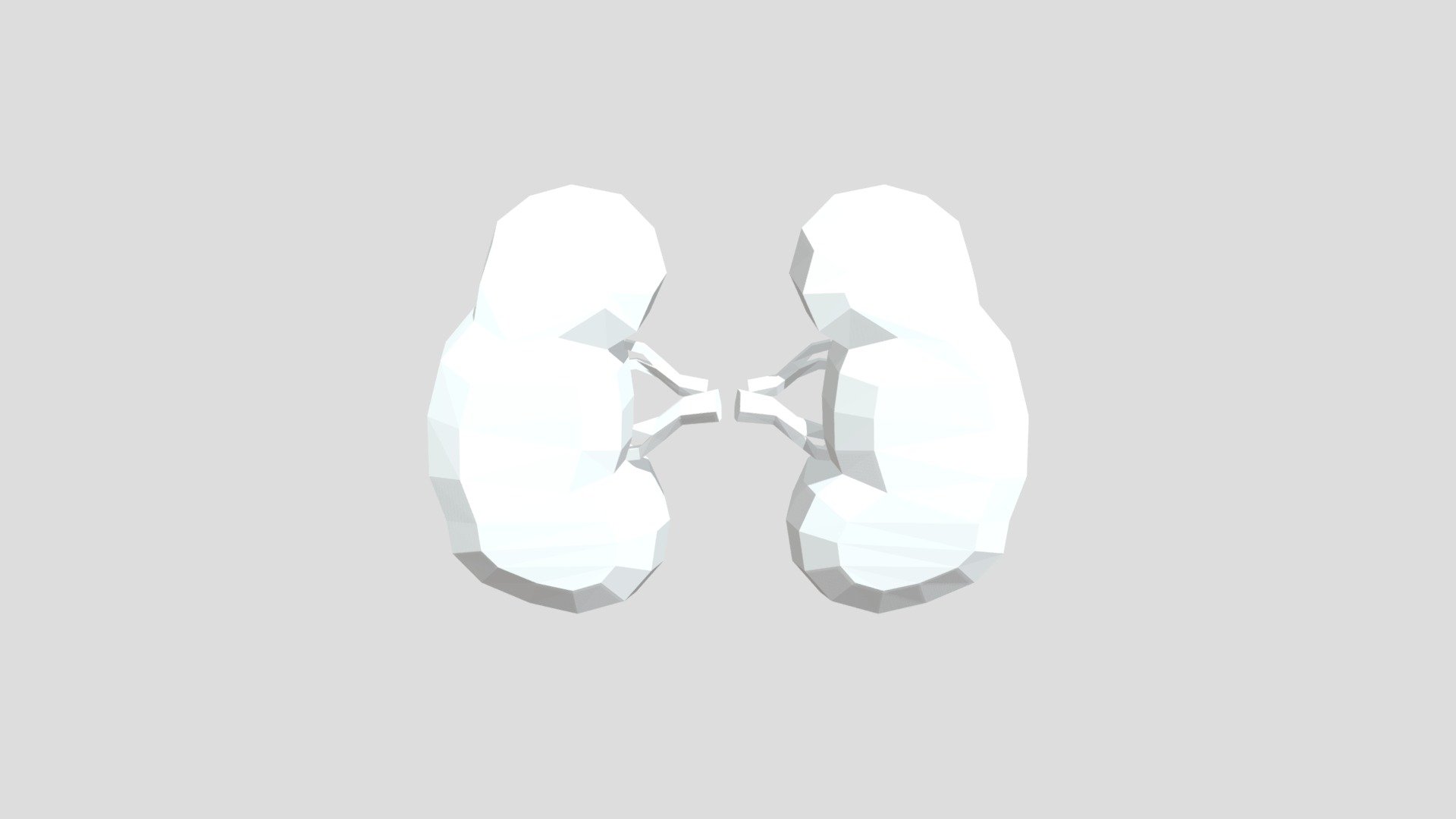 Kidneys from Poly by Google